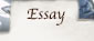 Essay